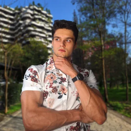 Emil Krebs, Software engineer
